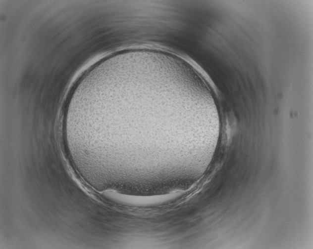 X0000084041053200703022144