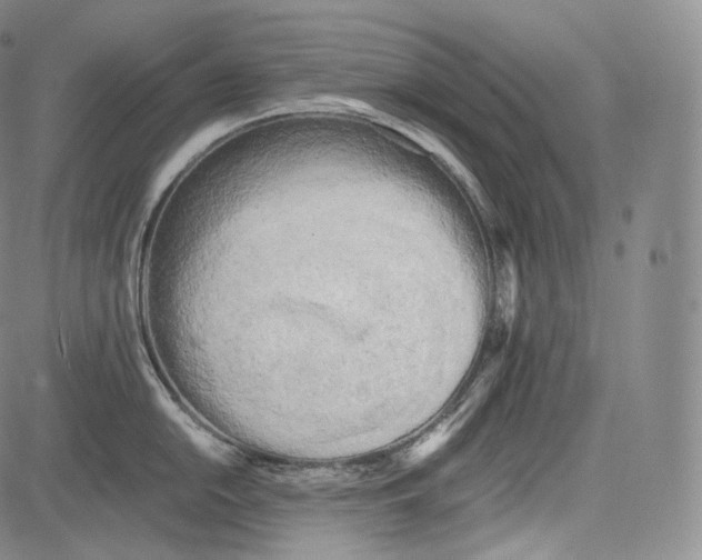 X0000084041054200703022144