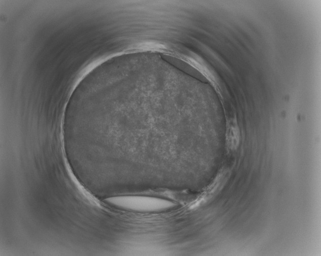 X0000084041055200703022144