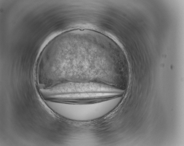 X0000084041056200703022144