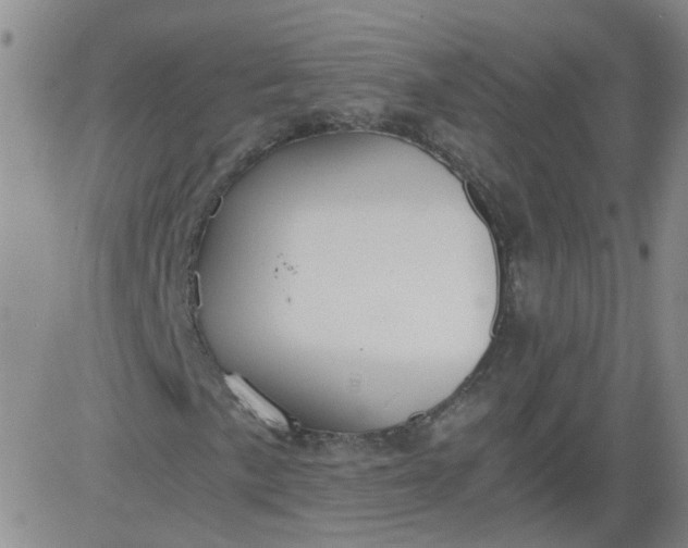 X0000084041057200703022143