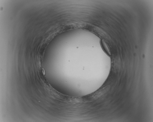 X0000084041058200703022143