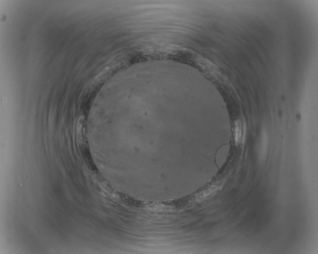 X0000084041059200703022143