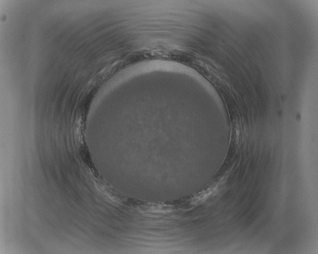 X0000084041060200703022143