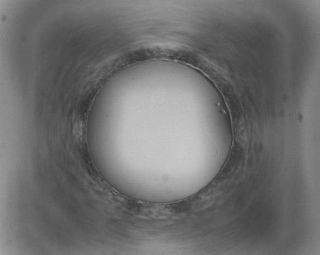 X0000084041061200703022143