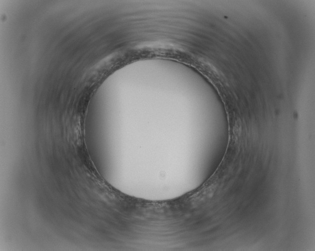 X0000084041062200703022143