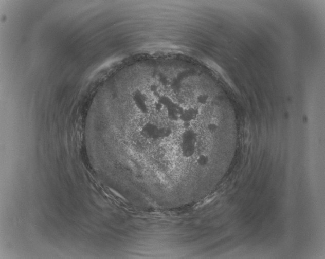 X0000084041063200703022143