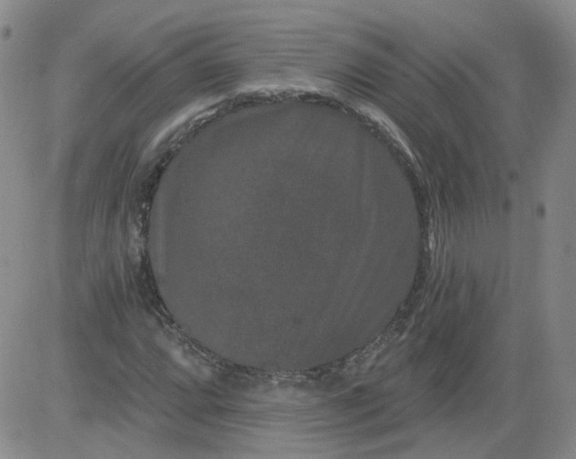 X0000084041064200703022143