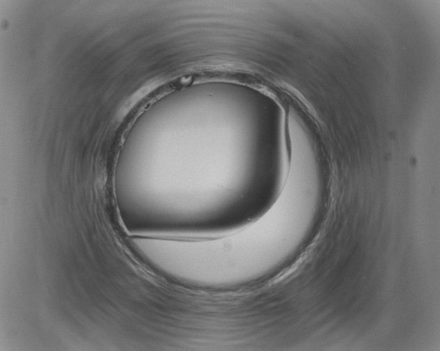 X0000084041065200703022143