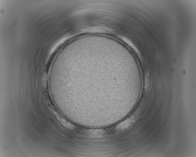 X0000084041067200703022143