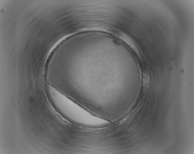 X0000084041068200703022143