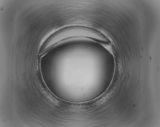 X0000084041069200703022143