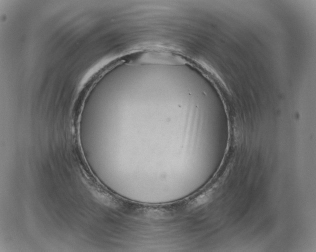 X0000084041070200703022143