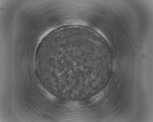 X0000084041071200703022143