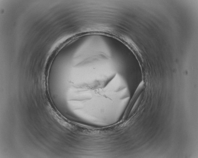 X0000084041072200703022143