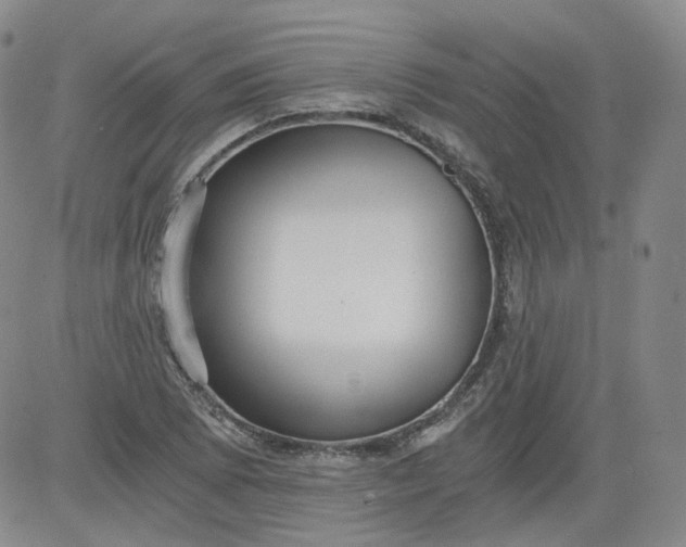 X0000084041073200703022143