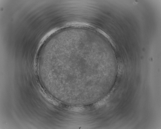 X0000084041074200703022143