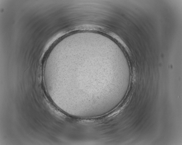 X0000084041075200703022143