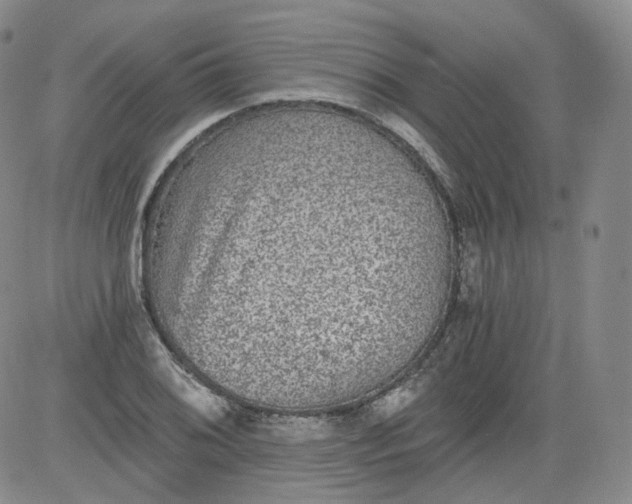 X0000084041076200703022143