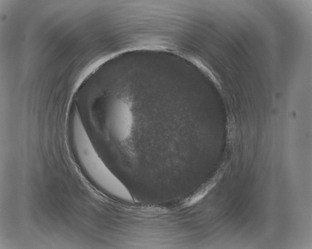 X0000084041077200703022143