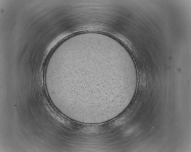 X0000084041078200703022143