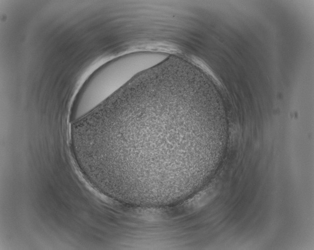 X0000084041079200703022143