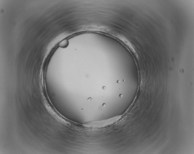 X0000084041080200703022143