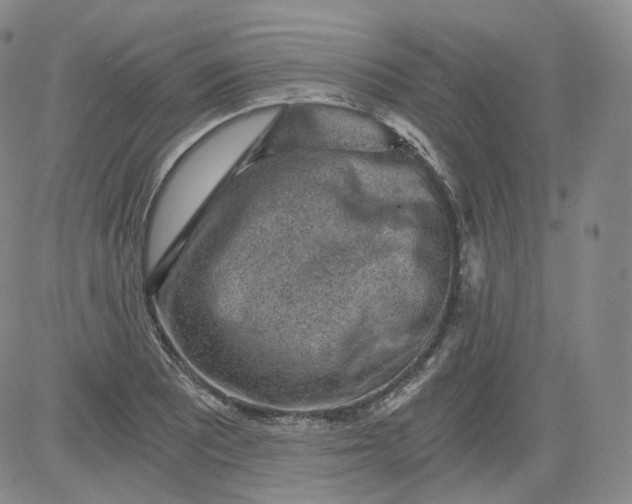 X0000084041081200703022143