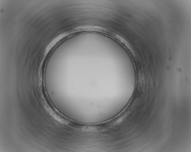 X0000084041082200703022143