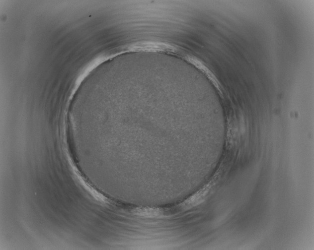 X0000084041083200703022143