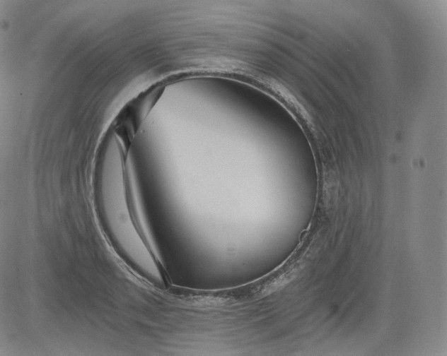 X0000084041085200703022143