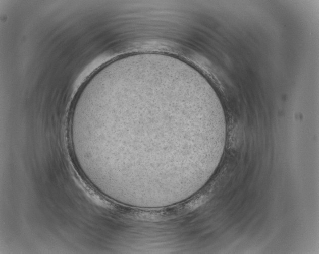 X0000084041086200703022143