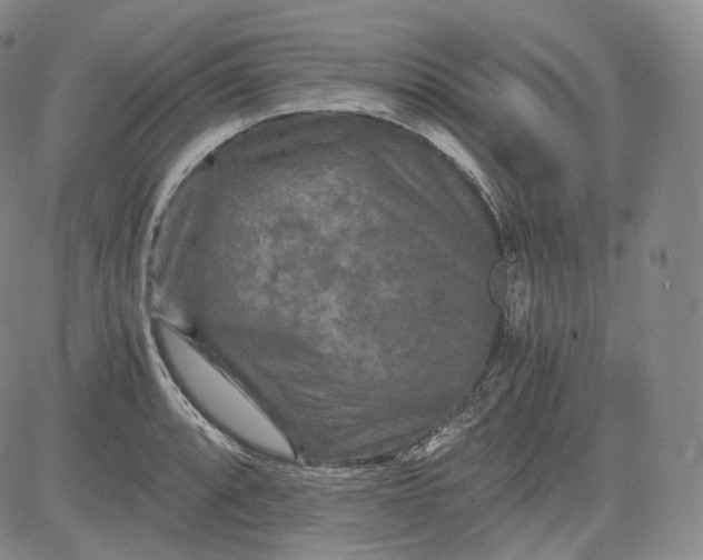 X0000084041088200703022143