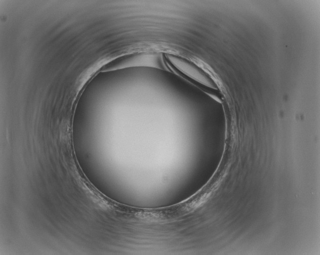 X0000084041089200703022143