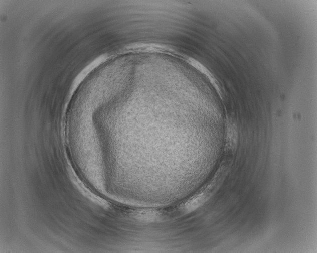 X0000084041090200703022142