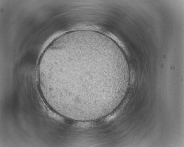 X0000084041094200703022142