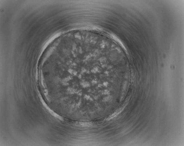 X0000084041095200703022142