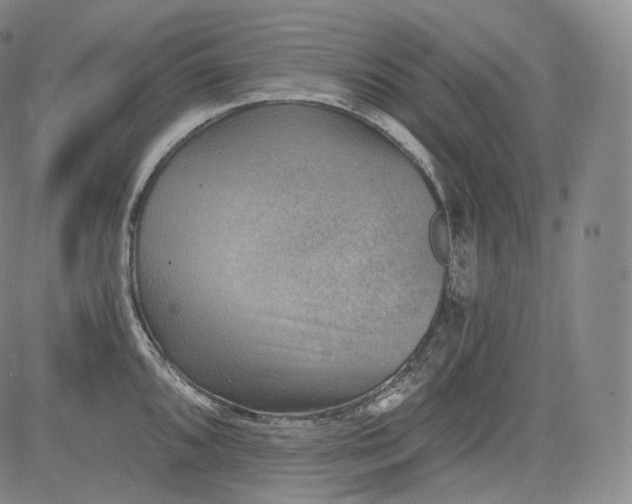 X0000084041096200703022142