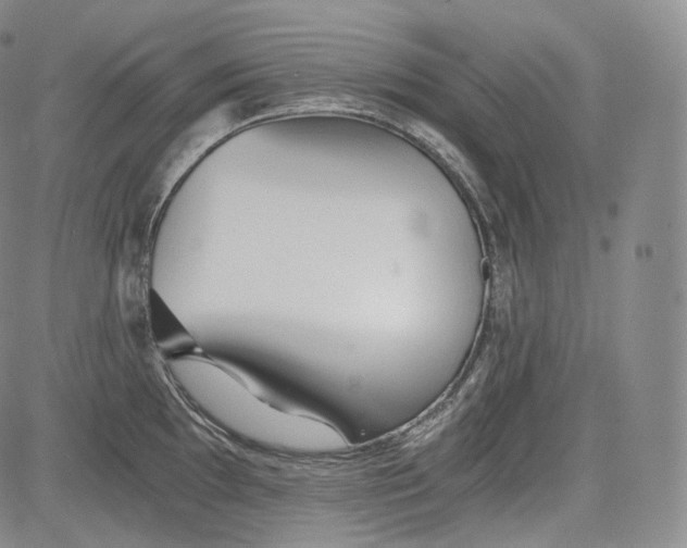 X0000084041097200703022142