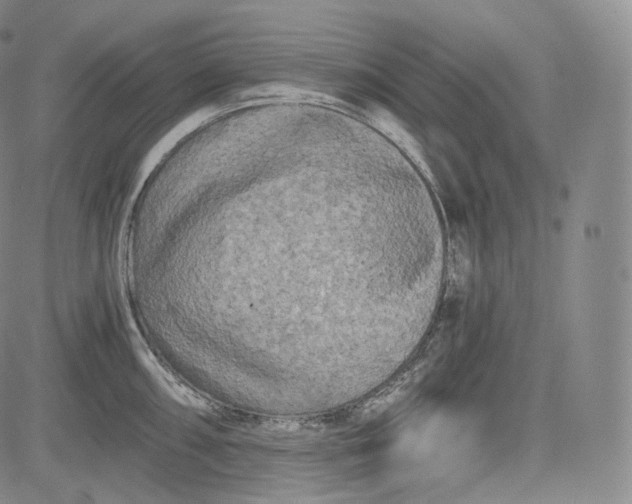 X0000084041098200703022142