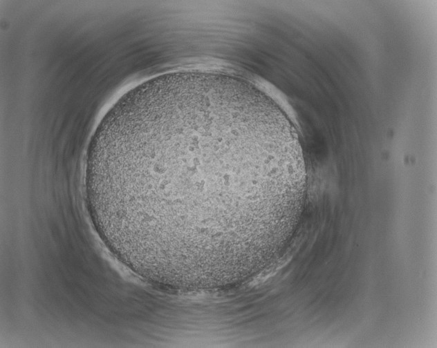 X0000084041099200703022142