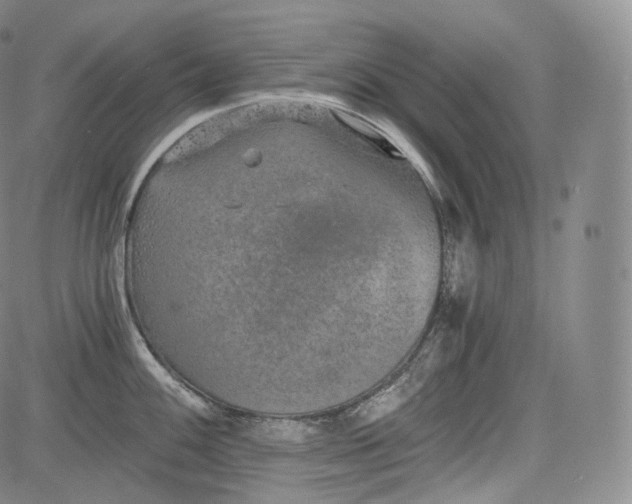 X0000084041100200703022142