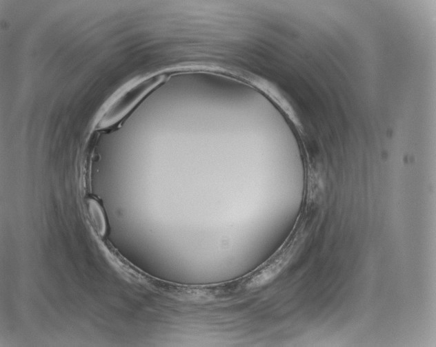 X0000084041101200703022142