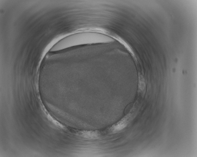 X0000084041102200703022142