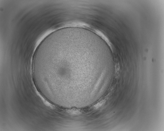 X0000084041103200703022142