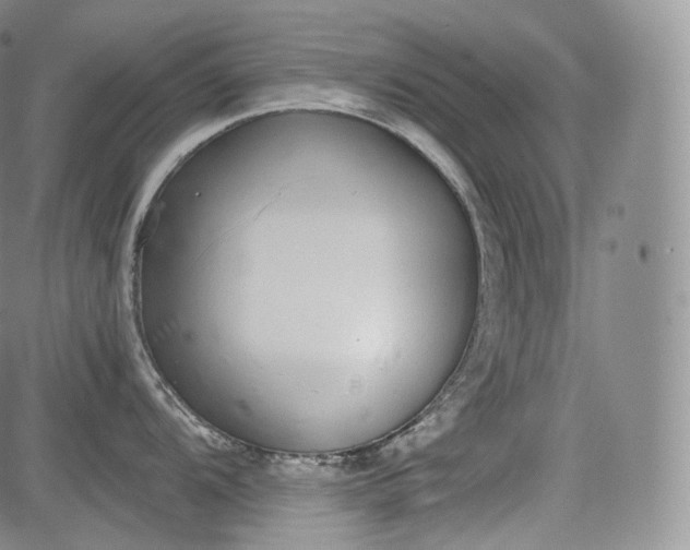 X0000084041104200703022142