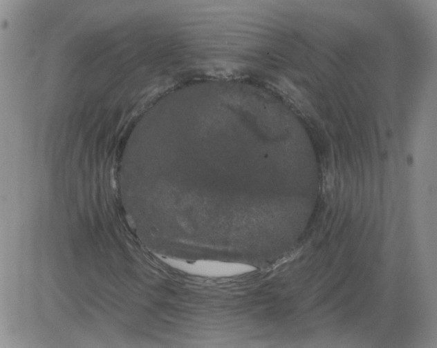 X0000084041106200703022141