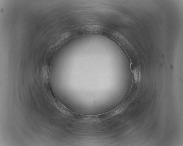 X0000084041107200703022141