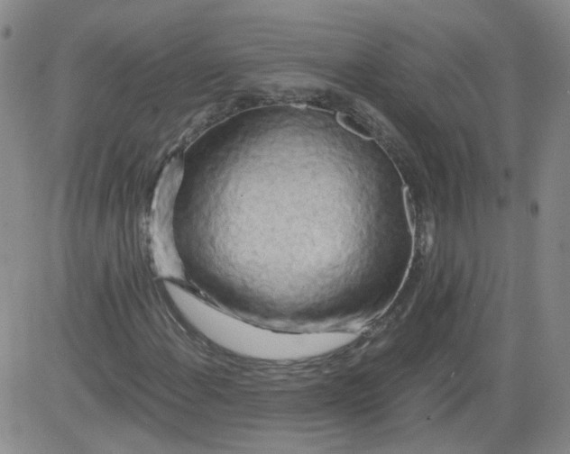 X0000084041108200703022142