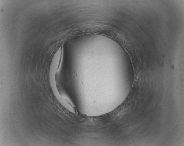 X0000084041109200703022142